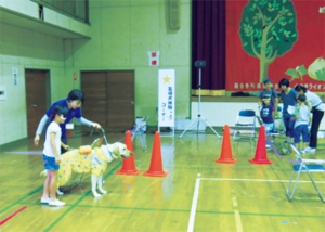 p4.jpg